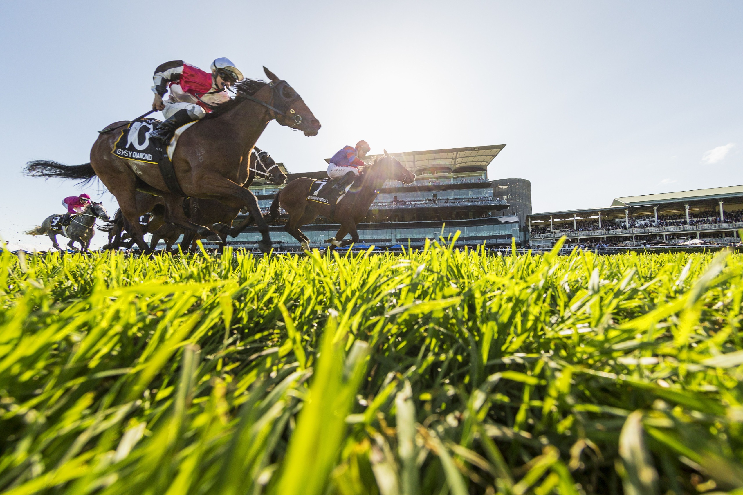 Review of the Thoroughbred Racing Act 1996 | Have Your Say