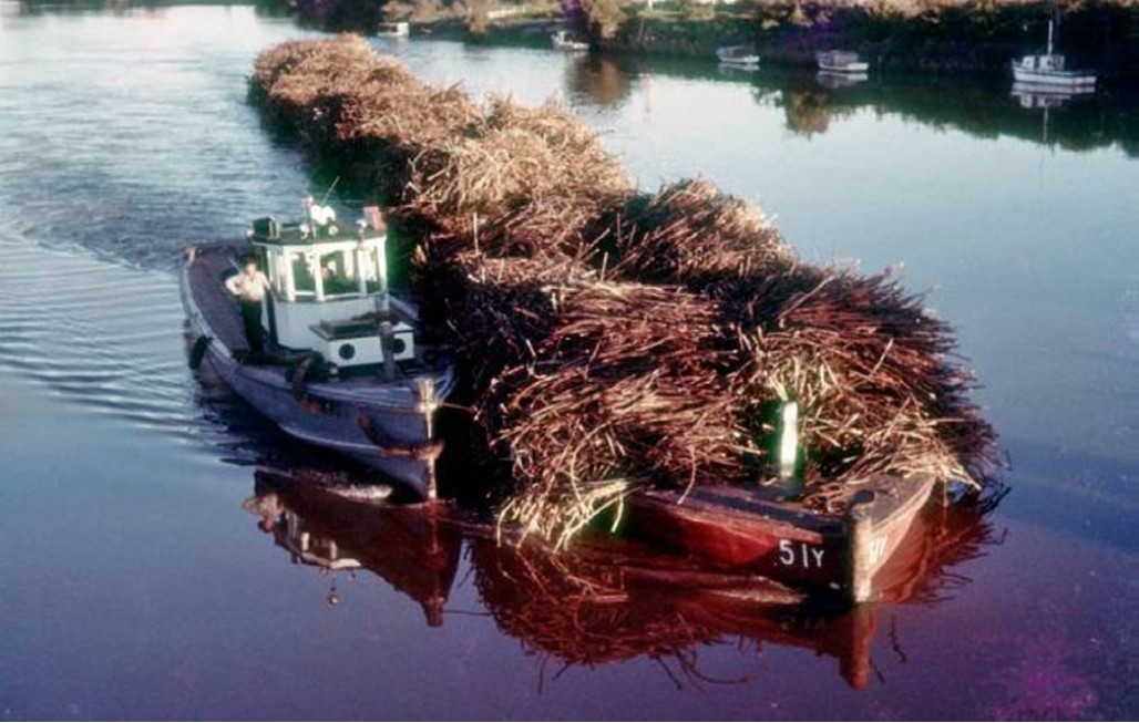 MV Beardmore and punt string