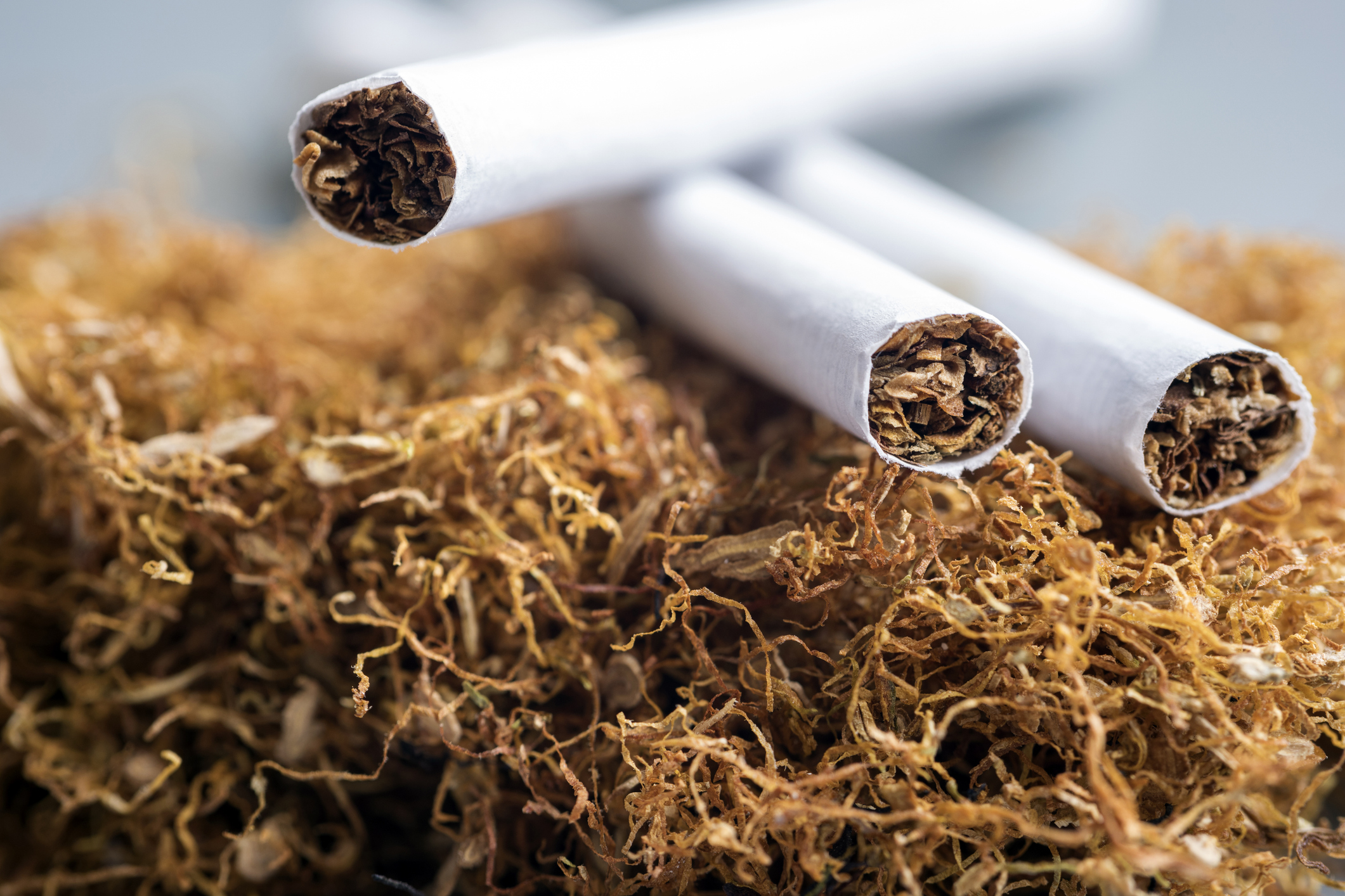 benefits of tobacco in the body Stop Smoking Timeline benefits of tobacco in the body Stop Smoking Timeline